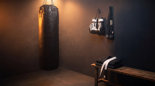 Home combat-sports training setup