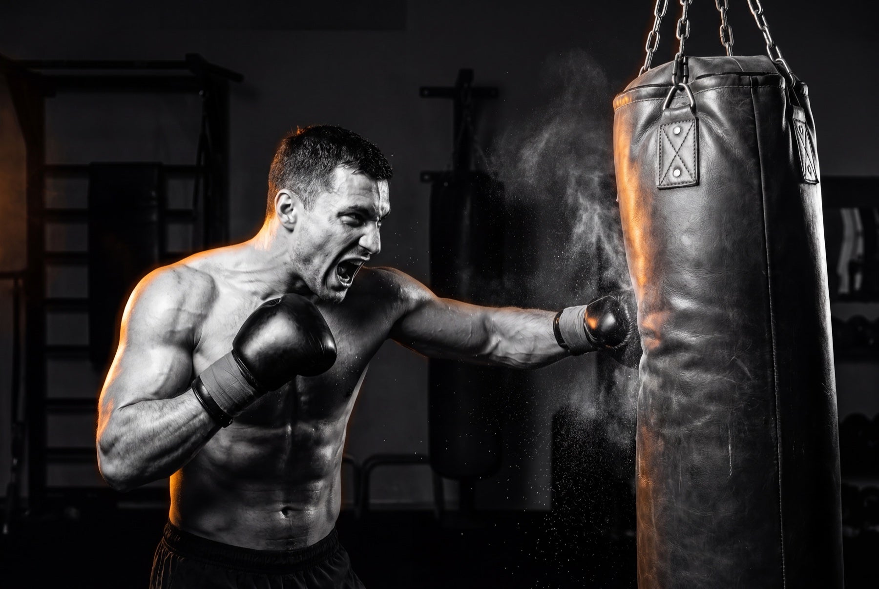 Gear for every way you train
